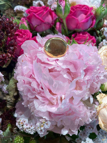 Valeria Rossini Jewelry Valeria Rossini Jewelry Gold Plate Ring | Loft 33