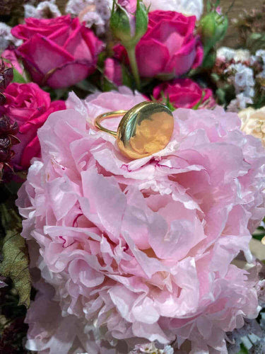 Valeria Rossini Jewelry Valeria Rossini Jewelry Gold Plate Ring | Loft 33
