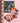 Oybo Oybo Pretty Winter | Loft 33
